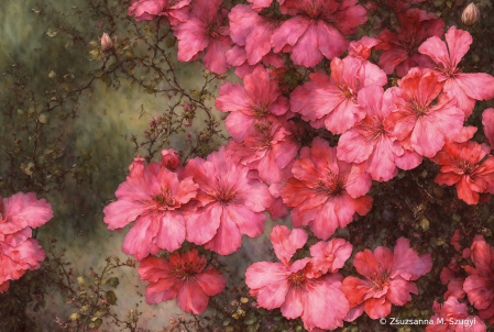 Begonia