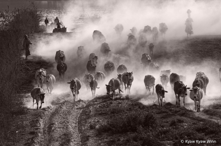 Summer Days in Myanmar