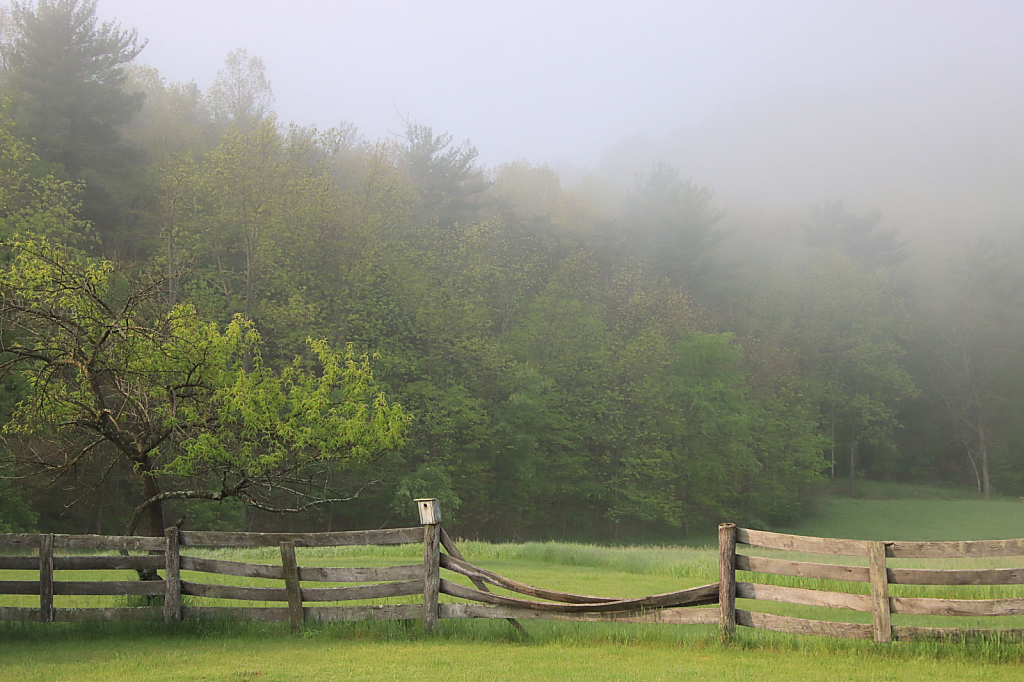 Fenceline