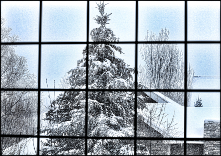 ~ Winter Window ~