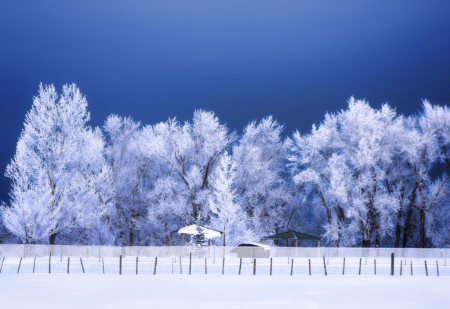 ~ Winter Covers The Land ~