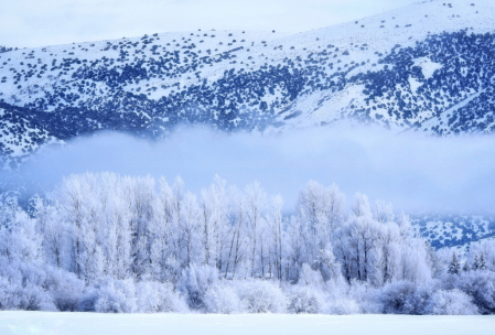 ~ Blue and White ~