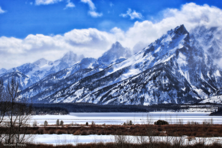 ~ Teton's ~