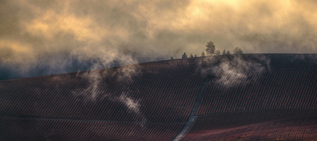 Low Clouds over LaJour Estate