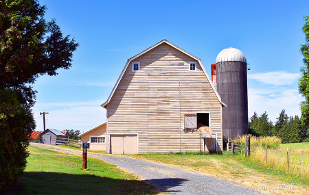 Country Life