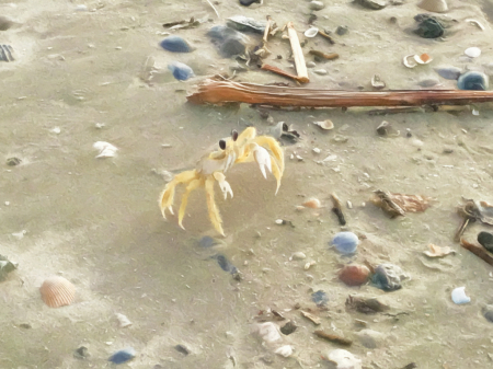 On The Beach