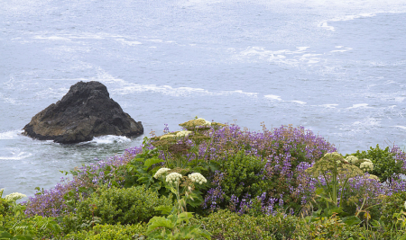 Natural Flower Bouquet