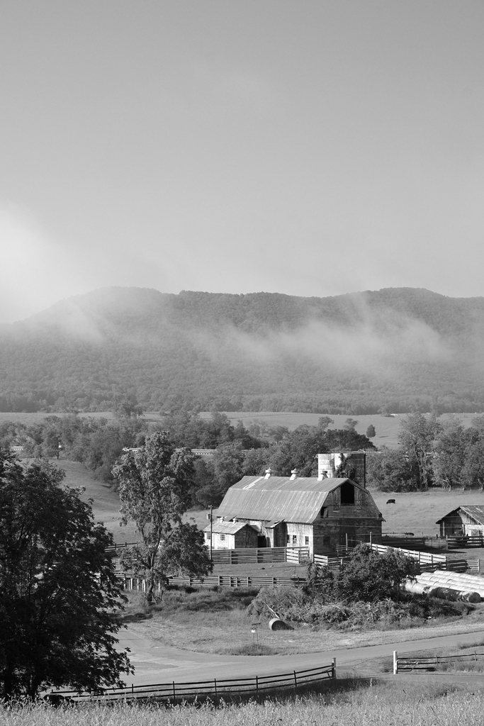 On The Farm