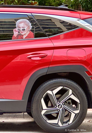 Never Leave Betty White in a Parked Car 