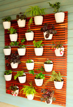 Plant Wall 