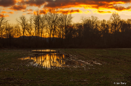 Nacoochee Valley dawn