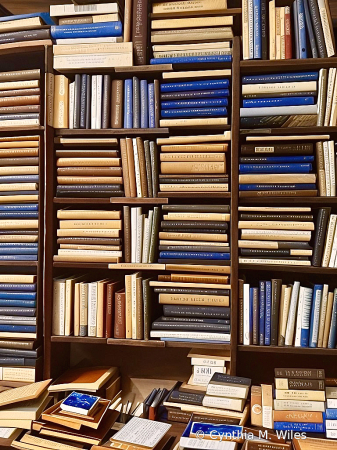 The Book Shelf 