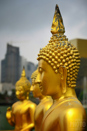 ~ ~ FACES OF BUDDHA ~ ~ 