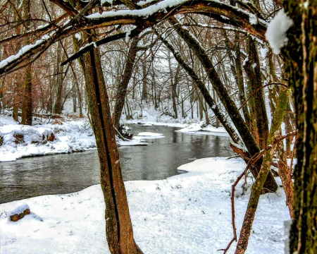 Snow at Riverbend Park in 2005