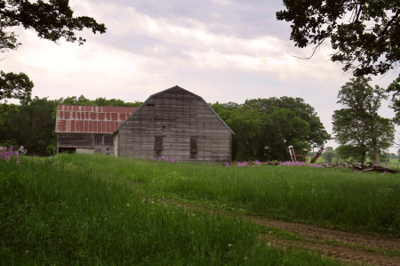 Old Barn With Flowers