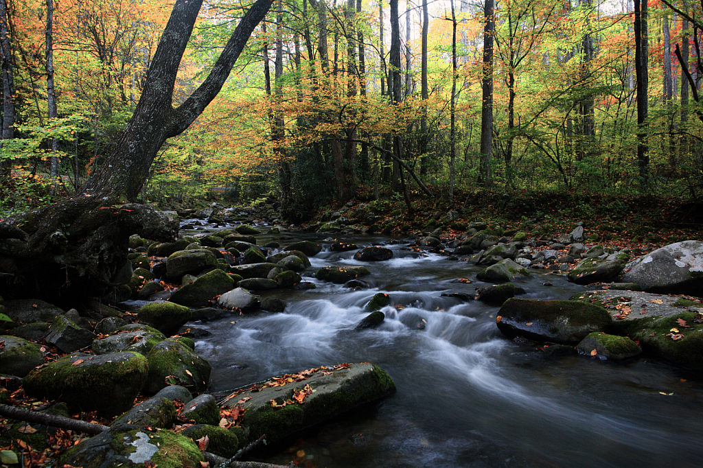 North Carolina High Country