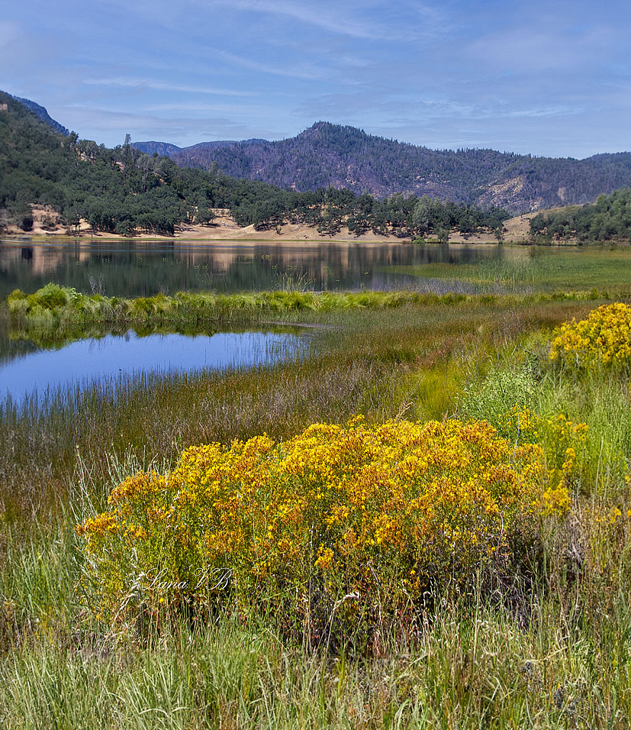 Lana Joy's picture near Langtry