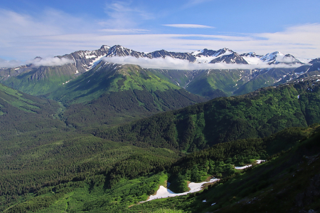 Alaska Summer