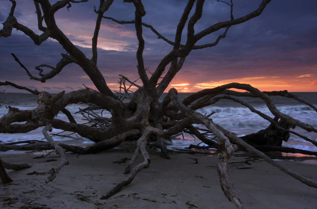 Sea Monster at Dawn