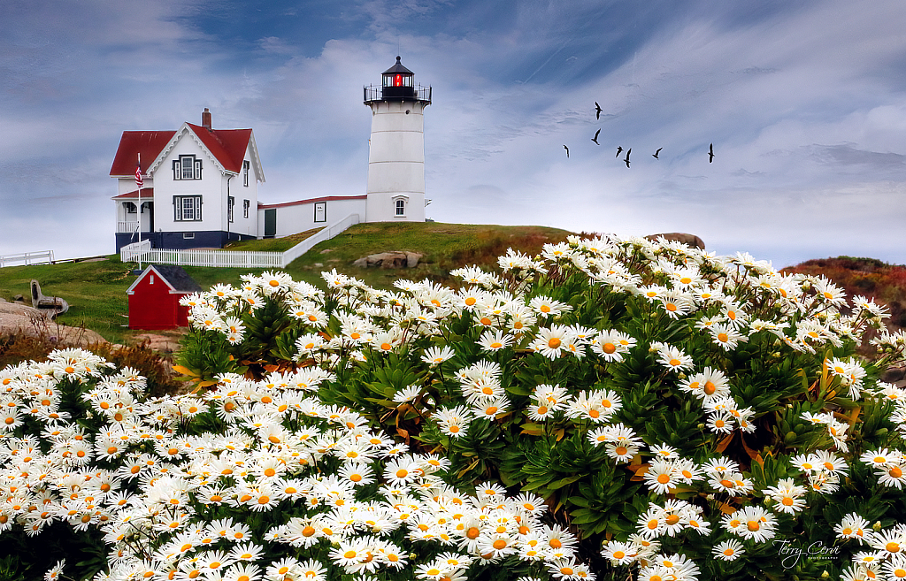 Cape Neddick Lighthouse