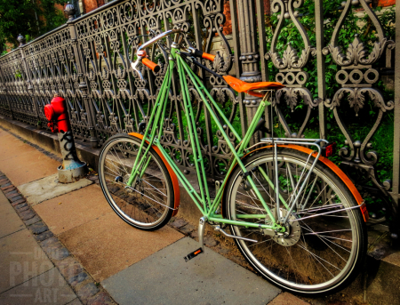 ~ ~ THE GREEN BICYCLE ~ ~ 