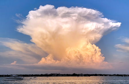 STORM CLOUD MUSHROOM