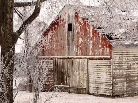 Old Barn On A Winter Day