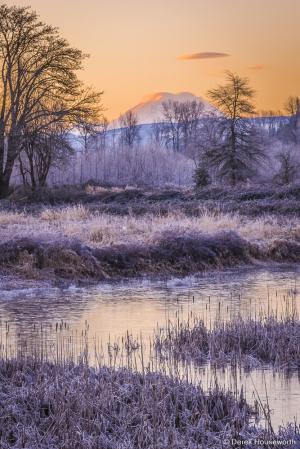 Marsh & Mountain