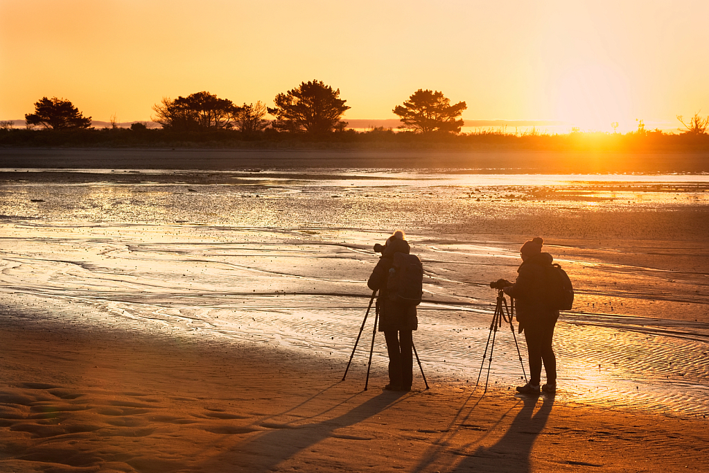 Golden sands