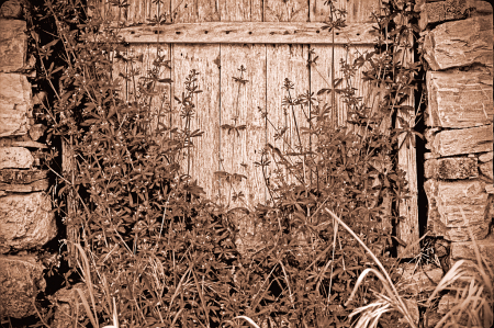 The Old Barn Door.