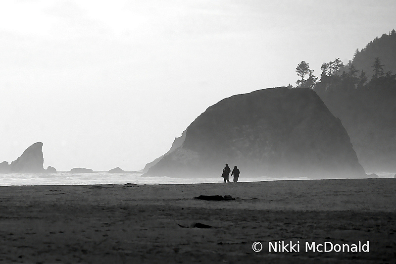 Foggy Evening at Cannon Beach