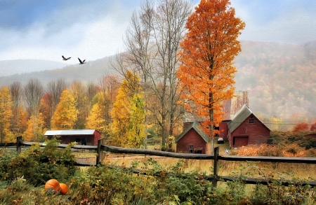 When Fall Comes to New England