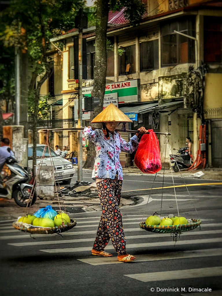 ~ ~ VIETNAM’S STREET VENDOR ~ ~ 