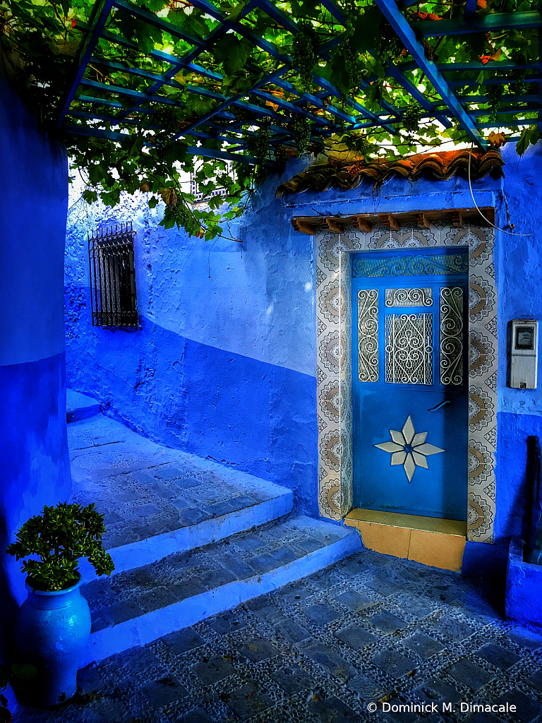 ~ ~ THE STAR AT THE BLUE DOOR ~ ~ 
