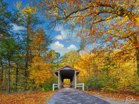 Autumn at Fletcher Creek