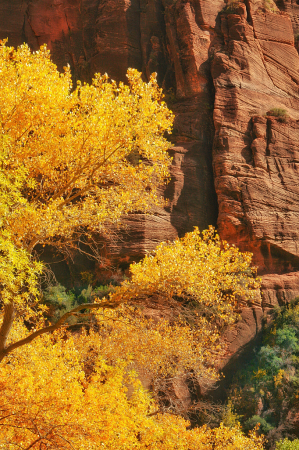 Zion Abstraction