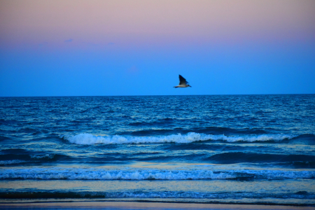 VIVID COLORS AT THE BEACH