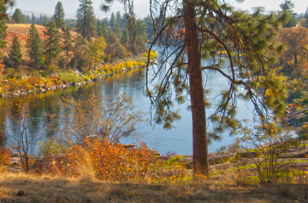 Spokane River In Autumn