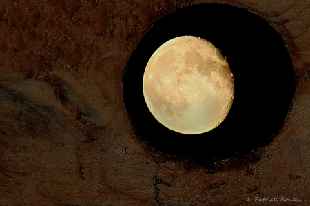 A peek At The Moon.