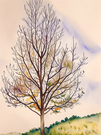 Tree On A Hill 