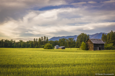 Farm Scene