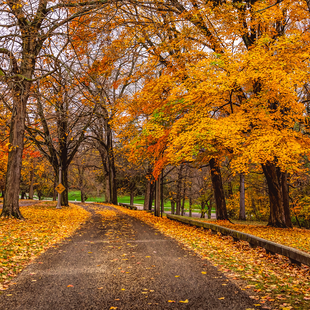 Fall Crisp Day!