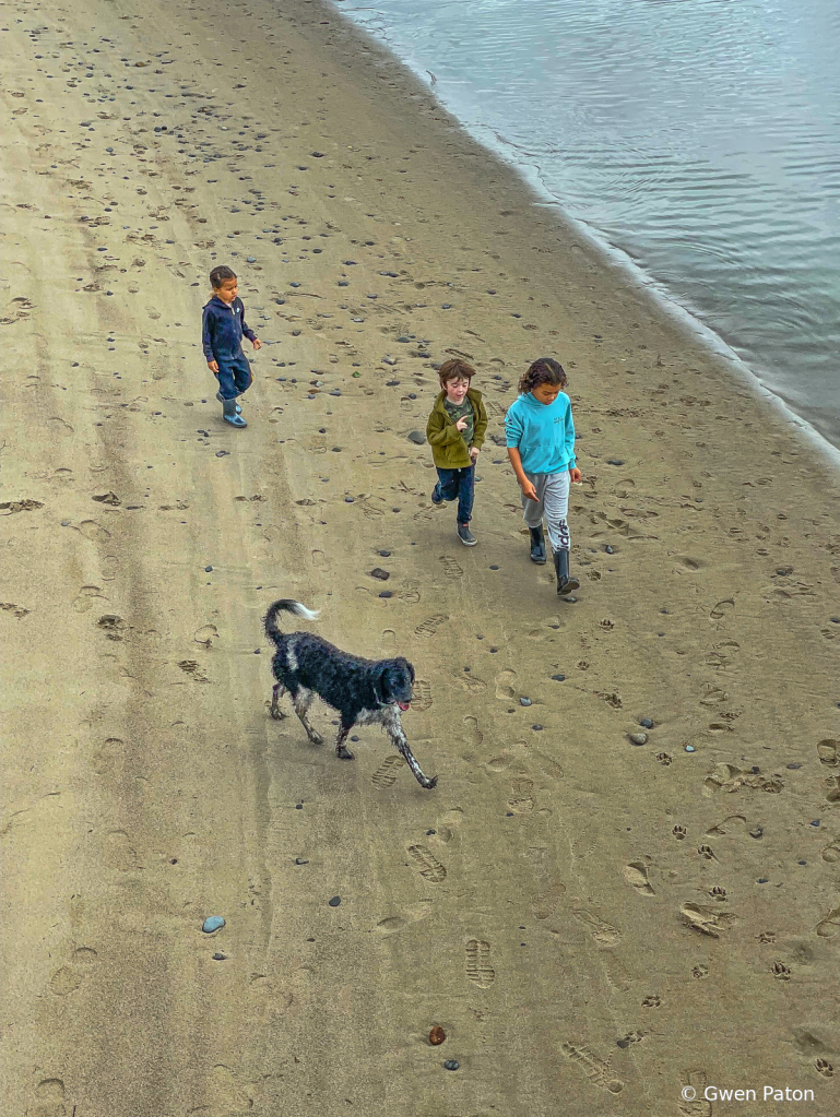 Kids and the Dog