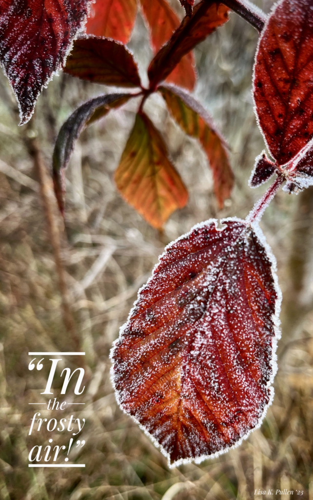 ~ Frosty Air ~