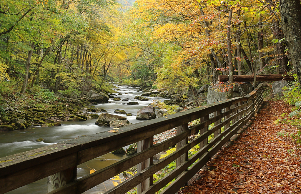 Savage River Walkway