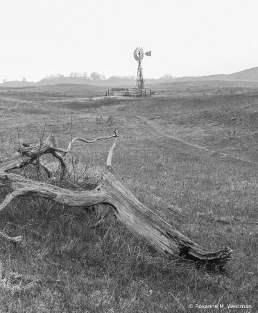 Out on the prairie