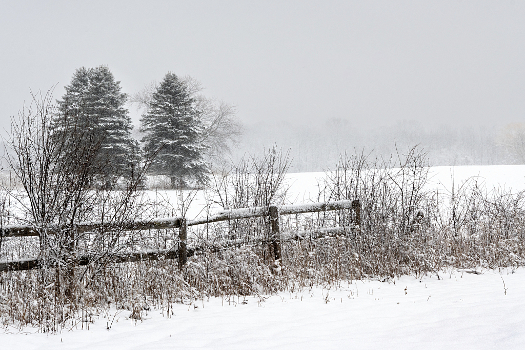 Winter Wonderland