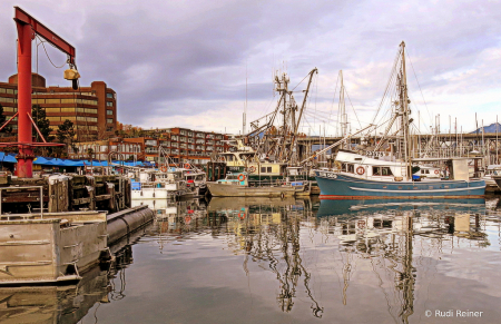 City marina, Vancouver BC