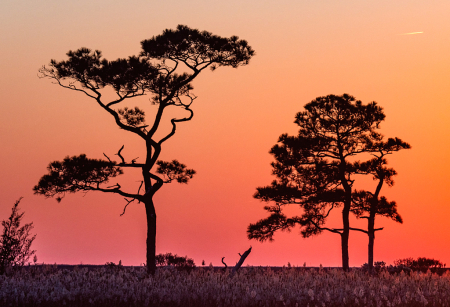 Sunset at the Marsh