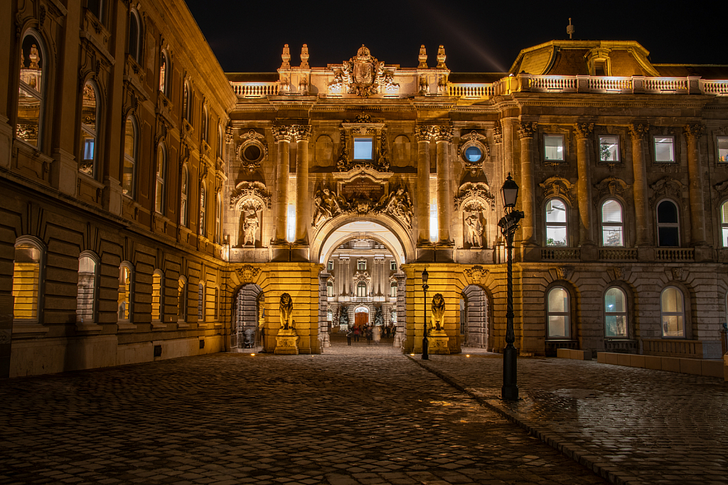 Buda Castle Entry